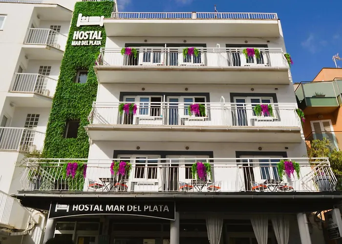 Pet Friendly hotel: Hostal Mar Del Plata (Adults Only)